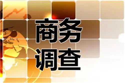 西安商业调查